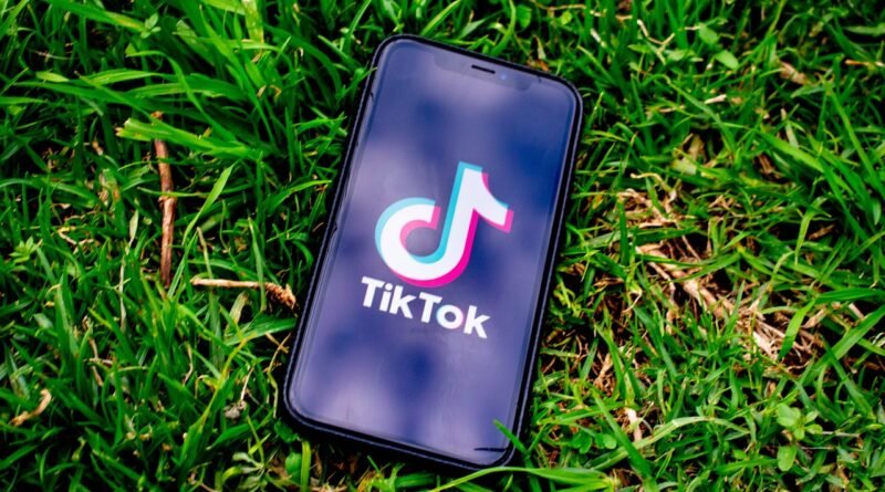 TikTok U.S. Ban